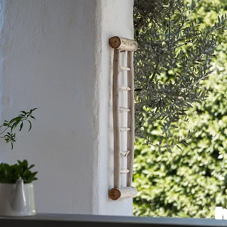 Masseria Li Foggi Εξοχικό σπίτι *